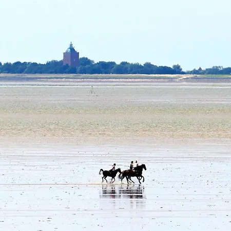 Апартаменты Haus Horizont H511 Куксхафен