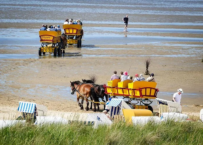 Haus Horizont H511 Appartement